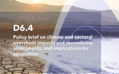 Policy Brief Warn of 1.5°C Overshoot Risks and Need for Climate Action
